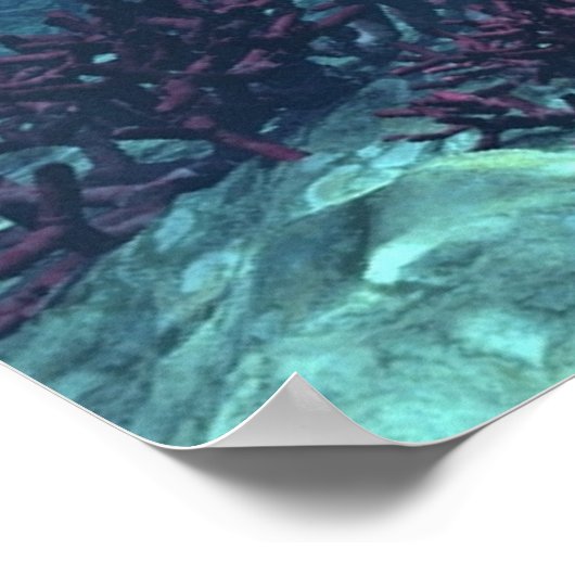 Poster Dans la lumière (Coin)