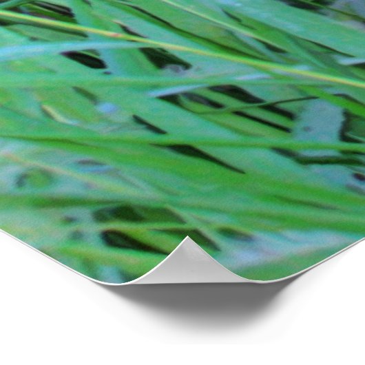 Poster Dans la matinée, imprimer (Coin)