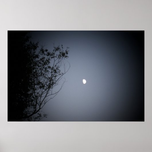 Poster Dans la nuit (Devant)