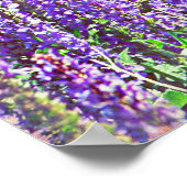 Poster dans la vallée de violet (Coin)