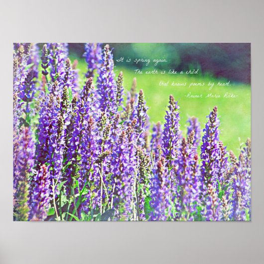 Poster dans la vallée de violet (Devant)