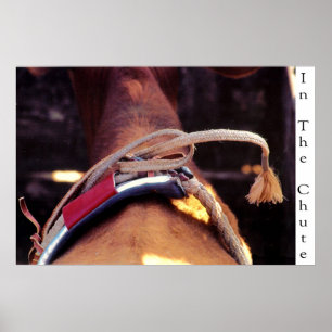 Poster Dans le descendeur