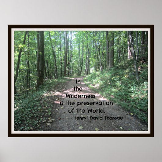 Poster Dans le désert : citation de Henry David Thoreau (Devant)