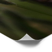 Poster Dans le foin (Coin)