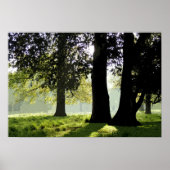 POSTER DANS LE PARC (Devant)