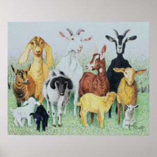 Poster Dans le trèfle