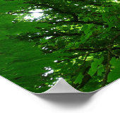 Poster Dans les arbres (Coin)