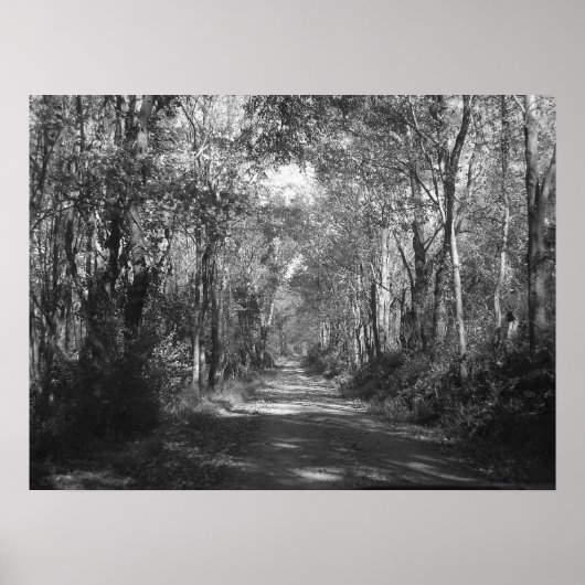 Poster "Dans les bois" (Devant)