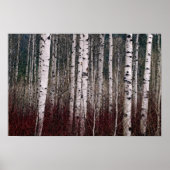 Poster Dans Les Bois. (Devant)