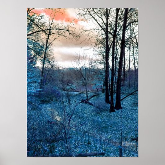 Poster Dans les bois (Devant)