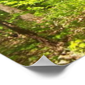 Poster Dans les bois (Coin)