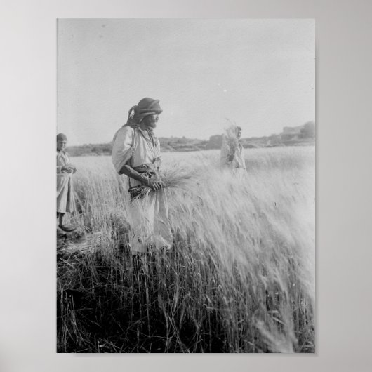 Poster Dans les champs de Boaz à Bethléem (Devant)