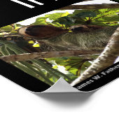 Poster Dans les forêts du Costa Rica (Coin)