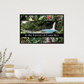 Poster Dans les forêts du Costa Rica (Cuisine)