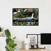 Poster Dans les forêts du Costa Rica (Bureau à domicile)