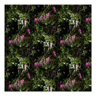 Poster Dans les montagnes où les pois doux se
