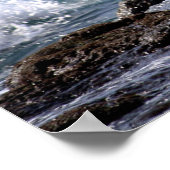 POSTER DANS L'URL (Coin)