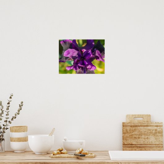 Poster Dans une Iris (Cuisine)