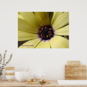 Poster Dans une marguerite jaune (Cuisine)