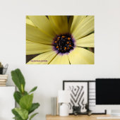 Poster Dans une marguerite jaune (Bureau à domicile)