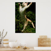 Poster Danse (Cuisine)