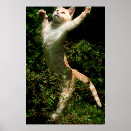 Poster Danse (Devant)