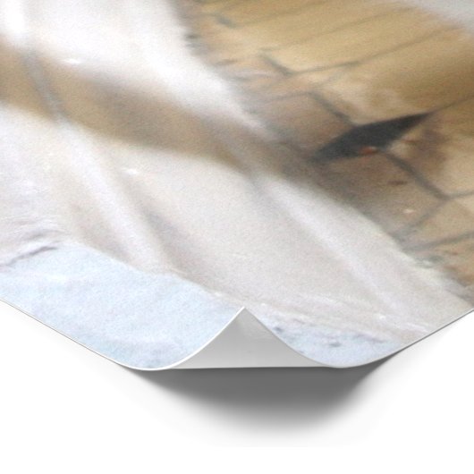 Poster Danse ! (Coin)