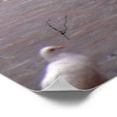 Poster Danse avec les pigeons (Coin)