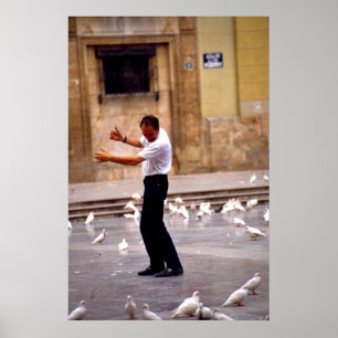 Poster Danse avec les pigeons