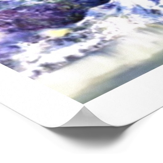 Poster Danse Borealis en Alaska (Coin)