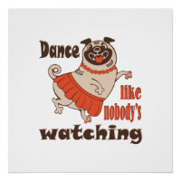 Danse comme personne ne regarde poule Carlin chien