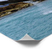 Poster Danse dauphin (Coin)