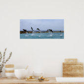 Poster Danse dauphin (Cuisine)