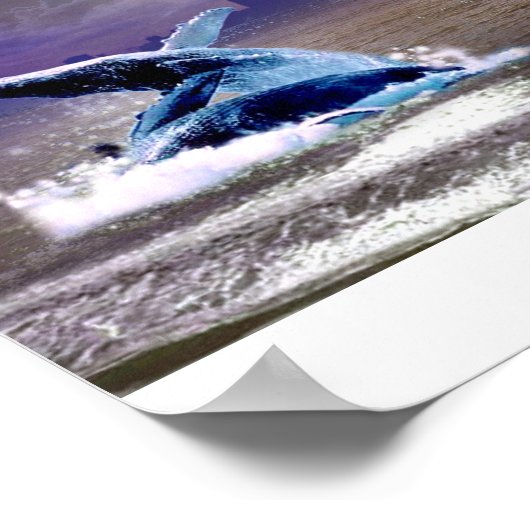 POSTER DANSE DE BALEINE (Coin)