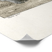 Poster Danse de la mort - Le Chevalier (Coin)