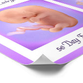 Poster Danse de la vie (Coin)