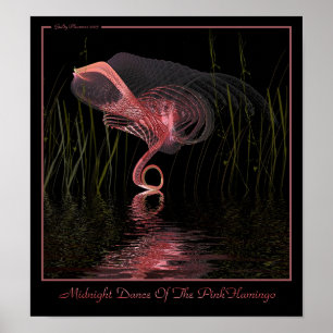 Poster Danse De Minuit Du Flamant rose Rose