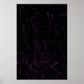 Poster Danse des Dimensions (Devant)