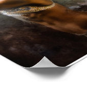 Poster Danse du Moyen-Orient (Coin)