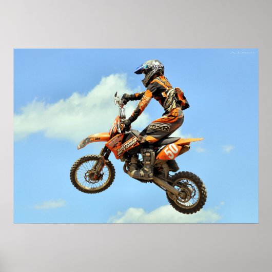 Poster Danse en vol (Devant)