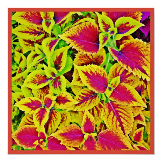 Poster Danse Motif Feuille (Devant)