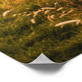 Poster Danser avec le Dusk - Tennessee Sunset (Coin)