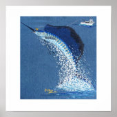 Poster Danser Sailfish (Devant)