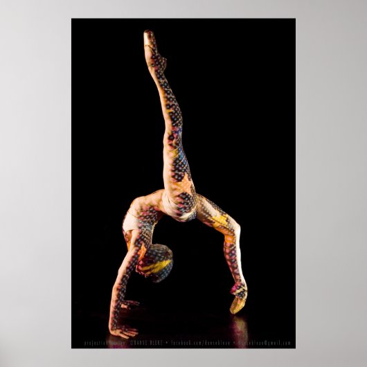 Poster Danseur de ballet-4567XLG (Devant)