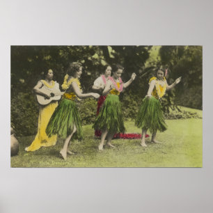 Poster Danseurs de HawaiiHula dans ColorHawaii