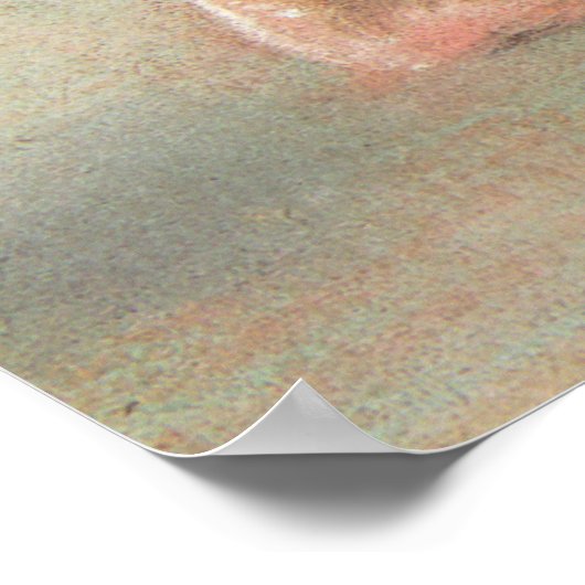 Poster Danseurs en rose par Edgar Degas, Ballet Art Vinta (Coin)