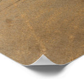 Poster Danseuse (Danseuse), Edgar Degas (Coin)