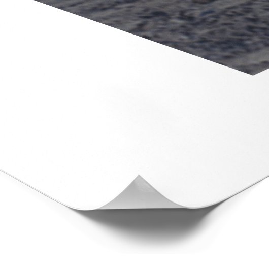 Poster danseuse du nord (Coin)