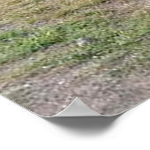 Poster d'antiquités Trucs et Voitures (Coin)