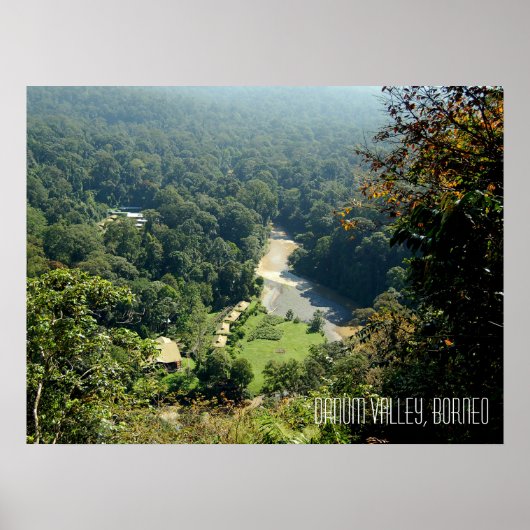 Poster Danum Valley Borneo Forêt Rainforest Jungle Scène (Devant)